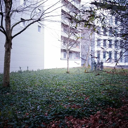 Midi-zuid Hotel 3*